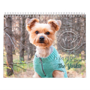 Mayzie Calendar III (2023 Style)