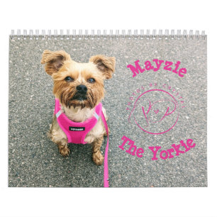 Mayzie Calendar IV (2024 Style)