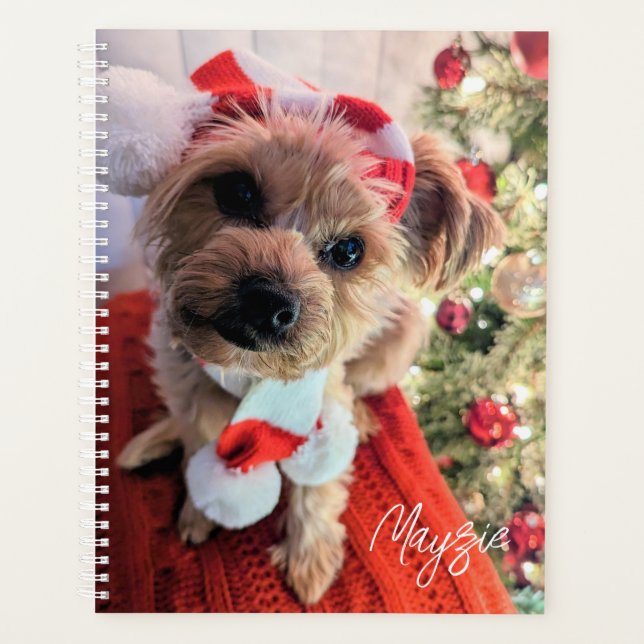 Mayzie Planner (Front)