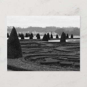 Maze Postcard