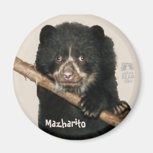 Mazharito Magnet