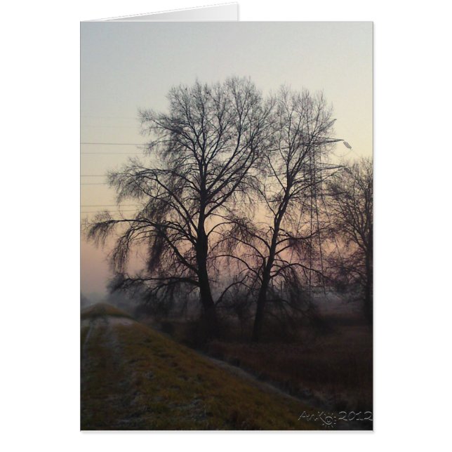 Mazovian Landscapes 1 (Front)