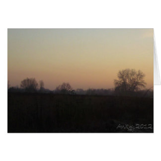 Mazovian Landscapes 2