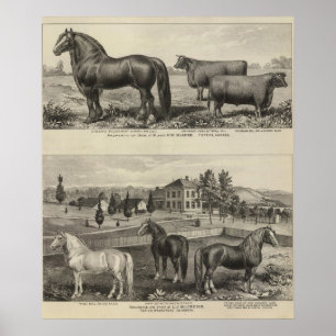 McAfee property, Topeka McCrumb, Kansas Poster