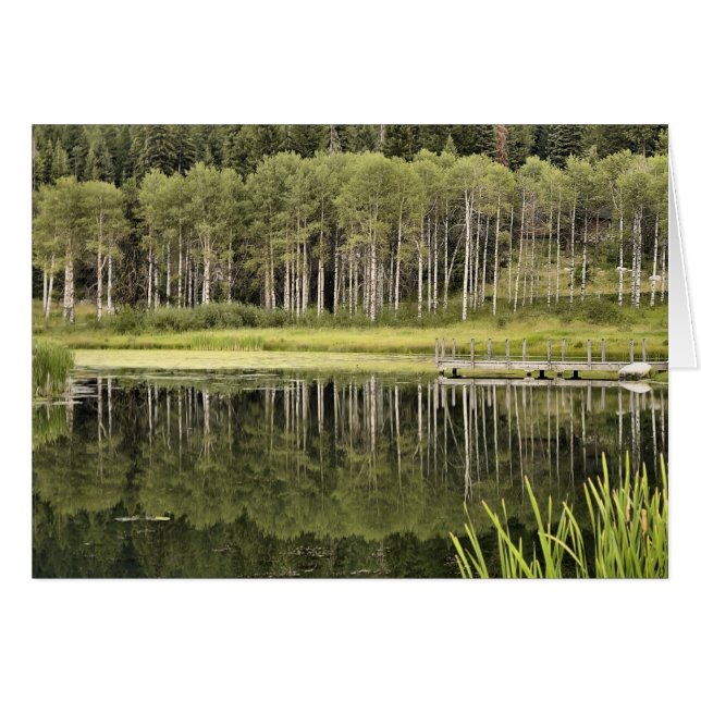 McCall Pond (Front Horizontal)