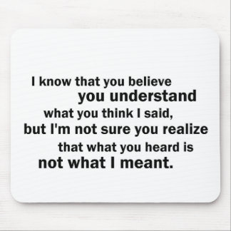 McCloskey on Understanding Mouse Mat