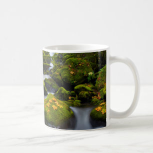 McCord Creek Bigleaf Maple Columbia Gorge, OR Coffee Mug