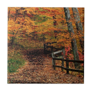 McCormack Creek State Park, Indiana Tile