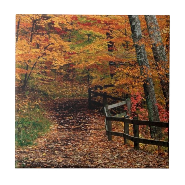 McCormack Creek State Park, Indiana Tile (Front)