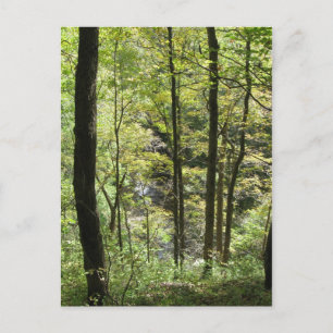 McCormick's Creek Postcard