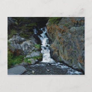 McCugh Creek Inspiration Postcard