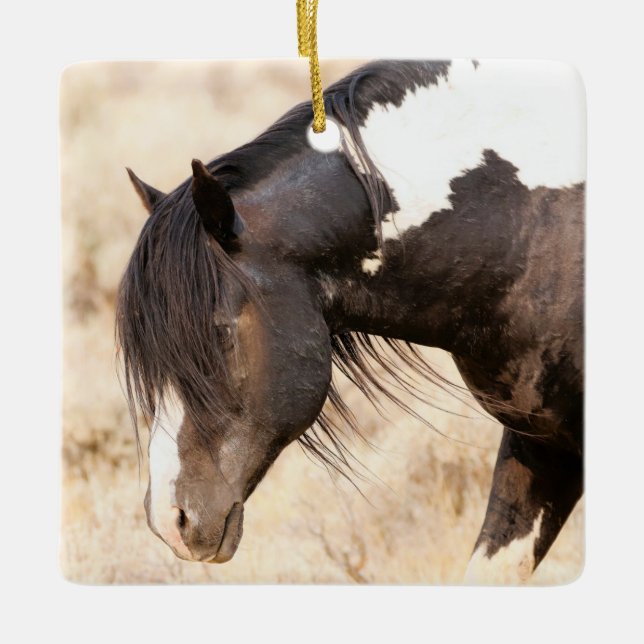 McCullough Peaks Washakie Wild Horses Ceramic Orna Ceramic Ornament (Front)