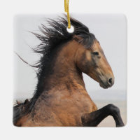 McCullough Peaks Wild Horse Ceramic Ornament