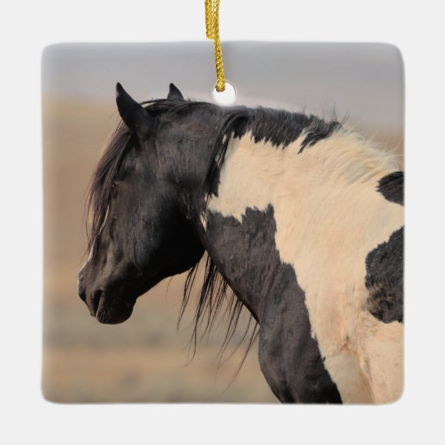 McCullough Peaks Wild Horses Ceramic Ornament (Front)