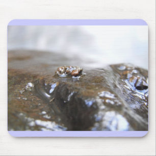 McDonald-Dunn. Oak Creek. Uenoidae Mouse Mat