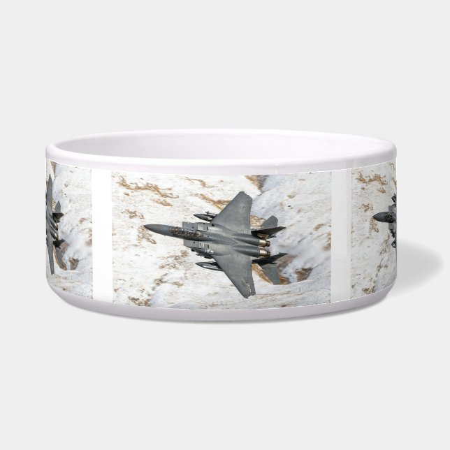 McDonnell Douglas F-15 Eagle (Front)