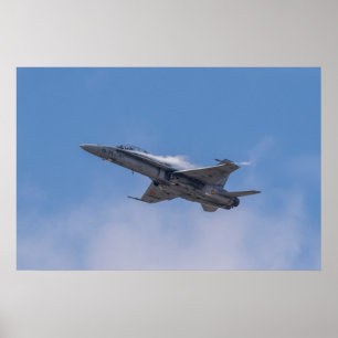McDonnell Douglas F/A-18 Hornet Poster
