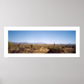 McDowell National Park Poster