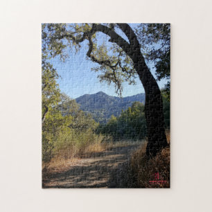 MCGS View of Mt Tam Puzzle