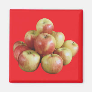Mcintosh Apples Magnet