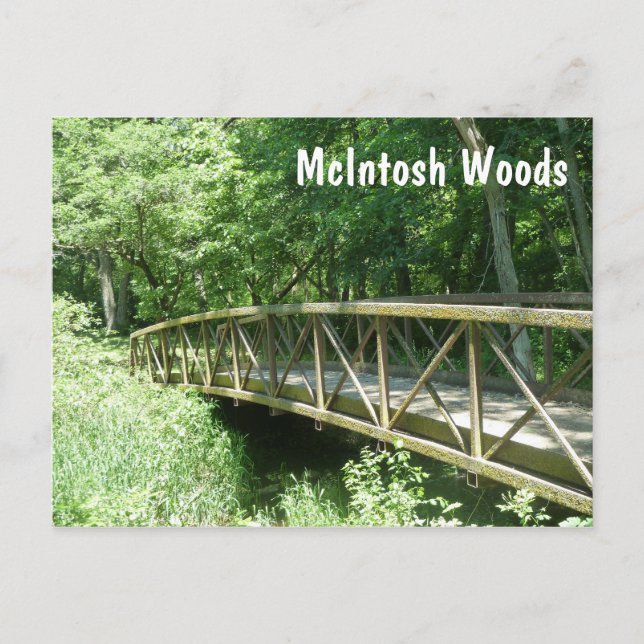 McIntosh Woods State Park, Iowa Postcard (Front)