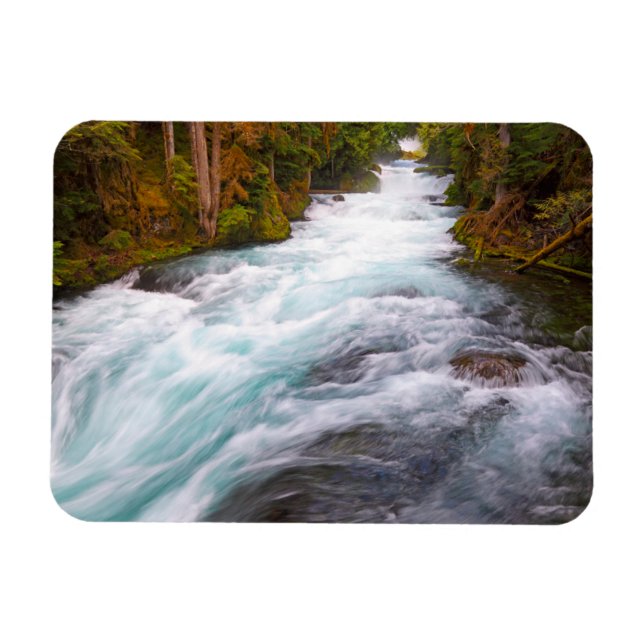 McKenzie River | Oregon Magnet (Horizontal)