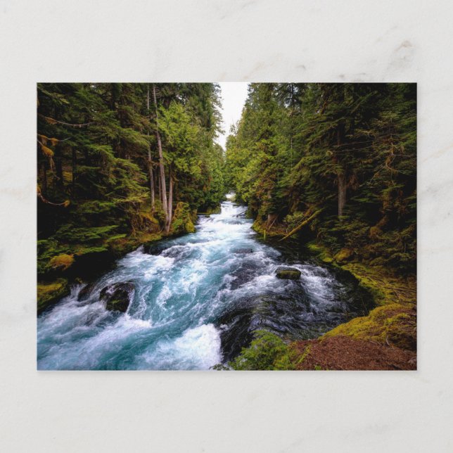 McKenzie River, Oregon, scenic photograph Postcard (Front)