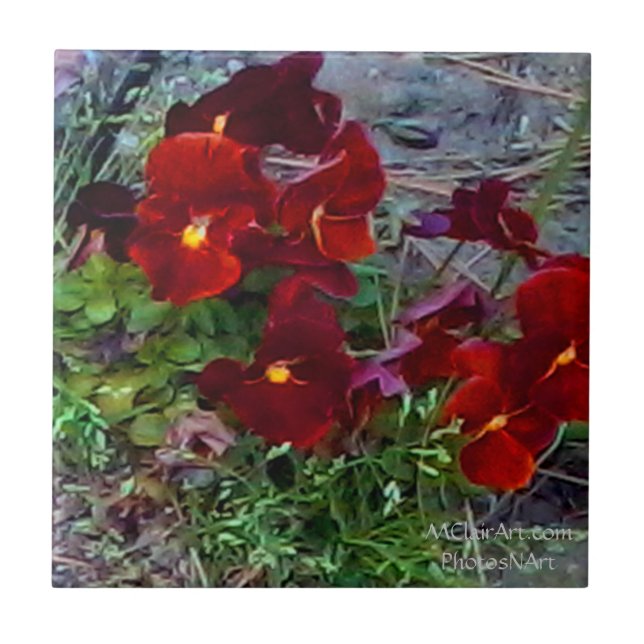 MClairArt's PhotosNArt Flower Ceramic Tiles (Front)