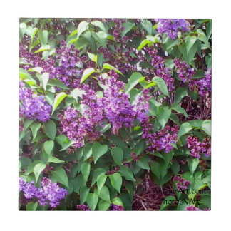 MClairArt's PhotosNArt Spring Flowers Ceramic Tile