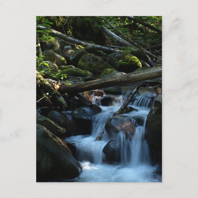 McPhee Creek, Castlegar, British Columbia Postcard (Front)