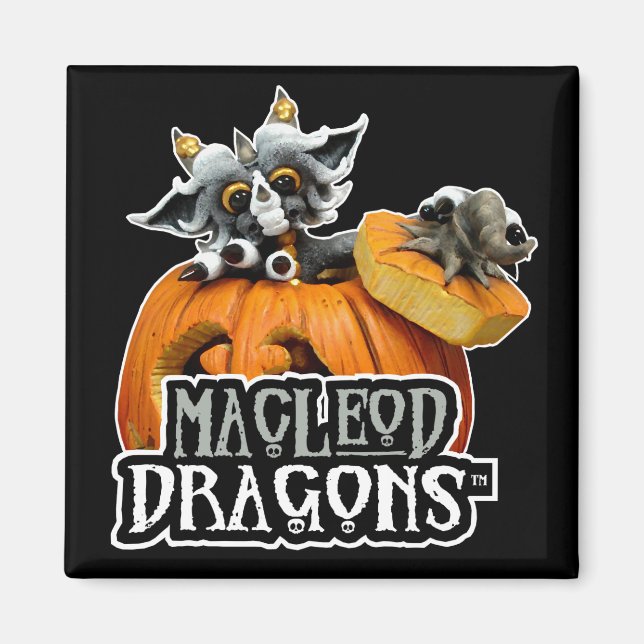 MD Pumpkin Dragon Logo Magnet (Front)