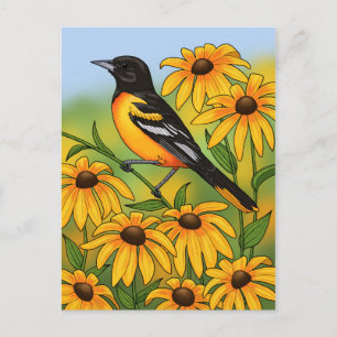 MD State Bird Oriole & Black-eyed Susan Flower Postcard