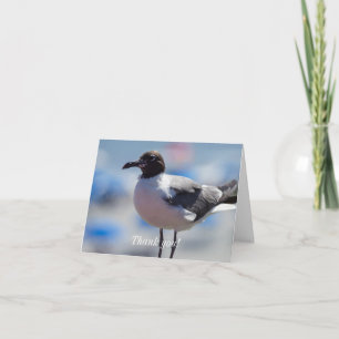 Me A Seagull Thank You Card