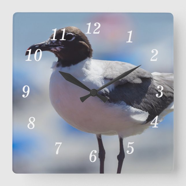 Me A Seagull Wall Clock (Front)