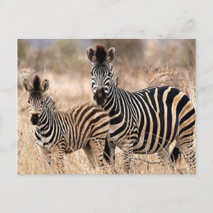 Me and mummy postcard