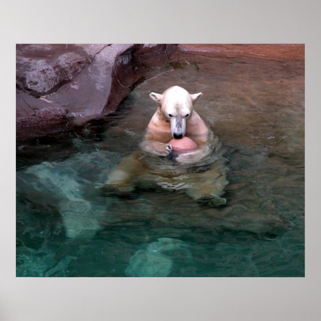 Me and My Ball Poster (Front)