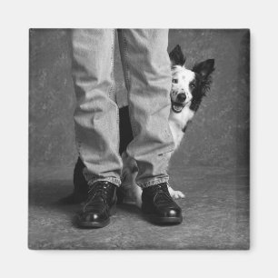 Me and My Shadow - Collie Dog Magnet