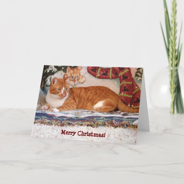 Me & My 'Shadow' Cat Christmas Card (Front)