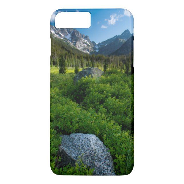 Meadow and Mt. Stuart Case-Mate iPhone Case (Back)