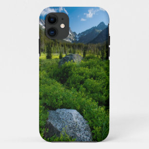 Meadow and Mt. Stuart iPhone 11 Case