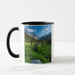 Meadow and Mt. Stuart Mug
