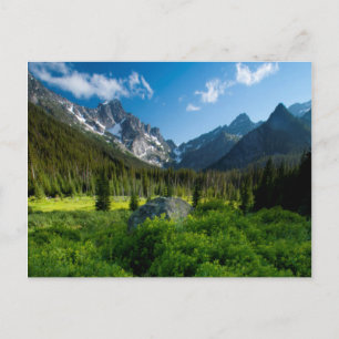 Meadow and Mt. Stuart Postcard