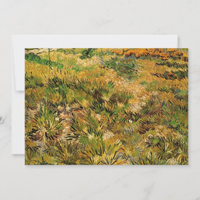 Meadow at Saint Paul Hospital by Vincent van Gogh (Front)