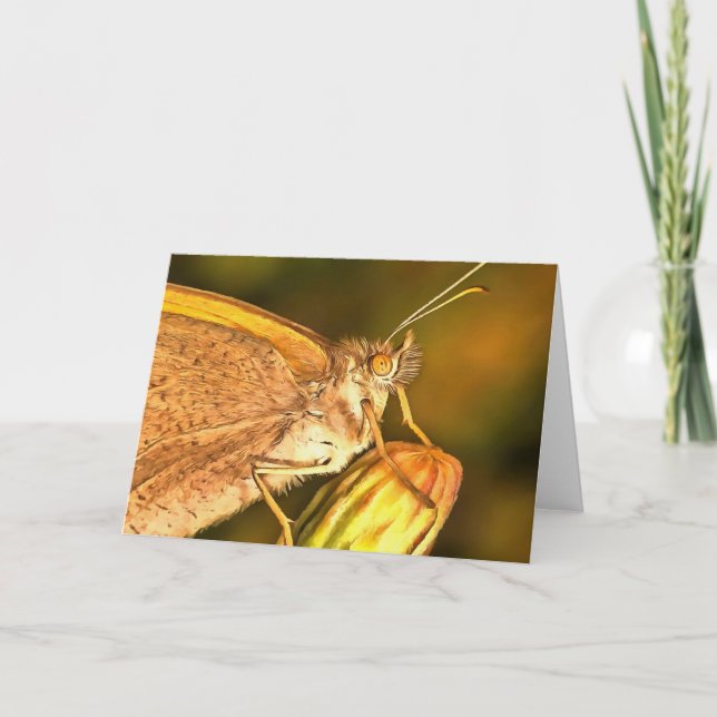 Meadow Brown Beautiful Butterfly Art Card (Front)