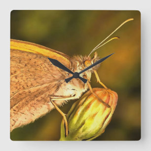 Meadow Brown Beautiful Butterfly Art Square Wall Clock