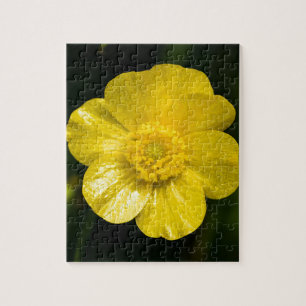 Meadow Buttercup Jigsaw Puzzle