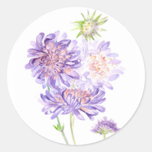 meadow flowers classic round sticker
