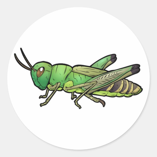 Meadow Grasshopper Classic Round Sticker (Front)