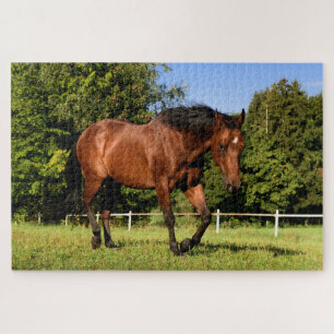meadow horse puzzle 