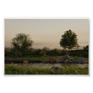 Meadow Lake Photo Print